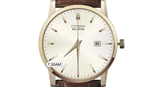 Terra Force Silver-Tone Dial Leather Strap AW1890-19B | CITIZEN